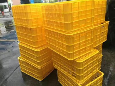 20號塑料制品 聚丙烯（PP）的廣泛應用與環(huán)保挑戰(zhàn)